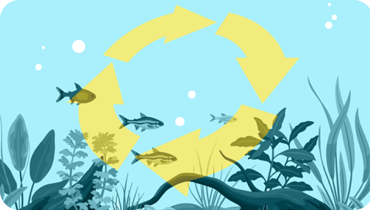 How to Cycle a Freshwater Aquarium with FritzZyme®