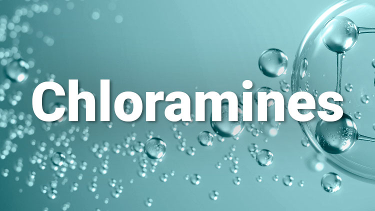 About Chloramine