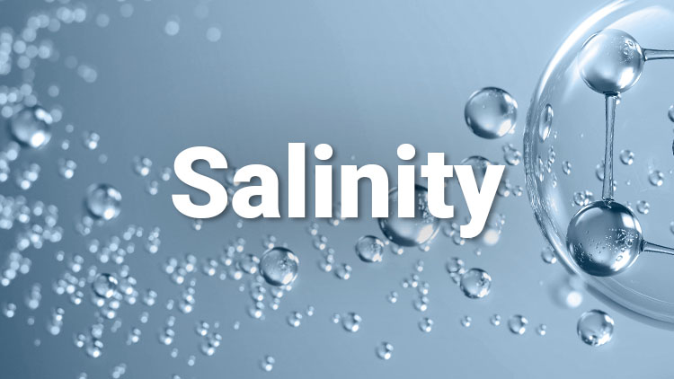 About Salinity