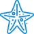 starfish